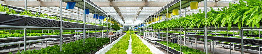 山东中南路桥设备有限公司